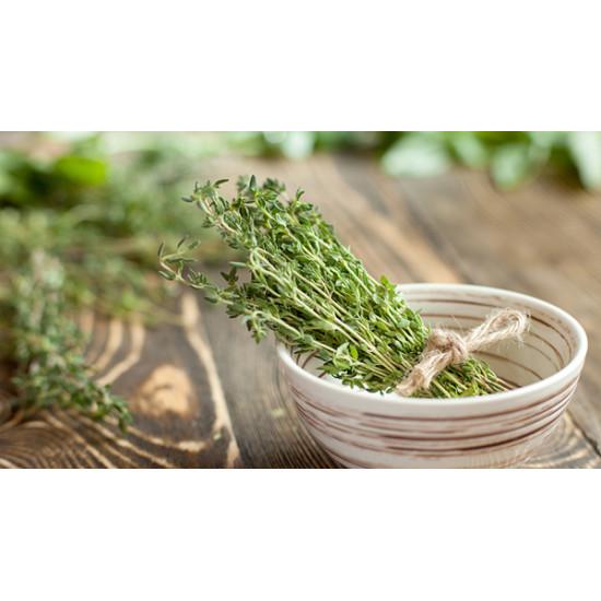 Hydroponic Thyme (हाइड्रोपोनिक्स थाइम) - 20 gm