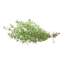 Hydroponic Thyme (हाइड्रोपोनिक्स थाइम) - 20 gm