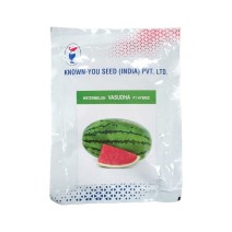Known You - Watermelon Vasudha F1 Hybrid 50gm