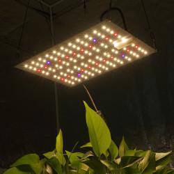 65W Led Grow  panel
