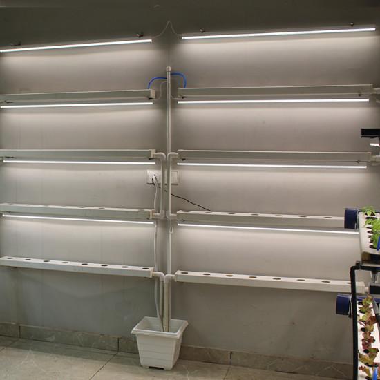 64 Plants Wall Mounted Indoor Hydroponics Setup