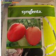 Abhinav Tomato (Syngenta)