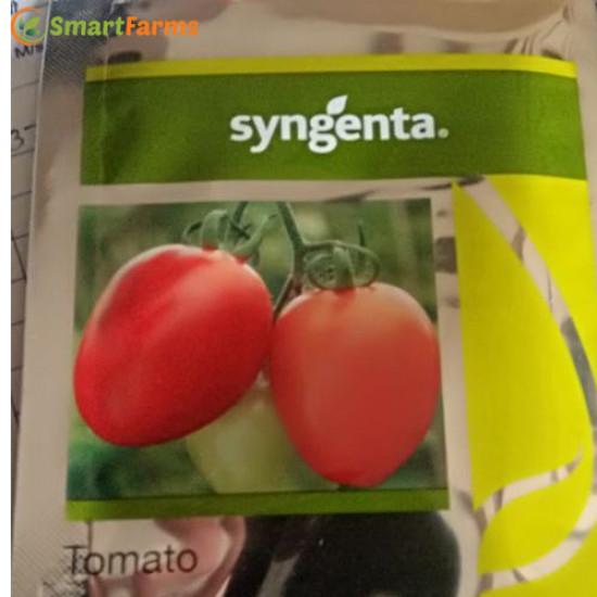 Abhinav Tomato (Syngenta)