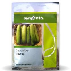GLOSSY CUCUMBER