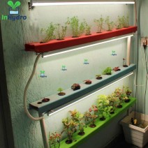 24 Plants Wall Mounted Indoor Hydroponics Setup