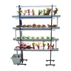 32 Plants Indoor Hydroponic NFT system