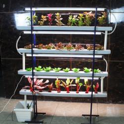 32 Plants Indoor Hydroponic NFT system