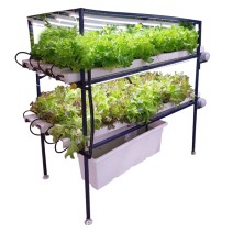64 Plants Indoor Hydroponic Rack System