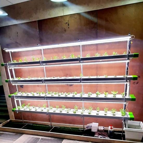 128 Plants Indoor Hydroponics Setup