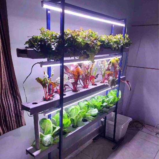 24 Plants Indoor Hydroponic system