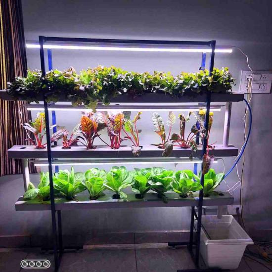 24 Plants Indoor Hydroponic system
