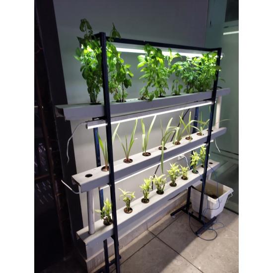 24 Plants Indoor Hydroponic system