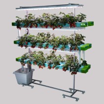 48 Plants Indoor Hydroponic system  
