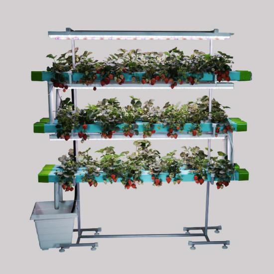 48 Plants Indoor Hydroponic system