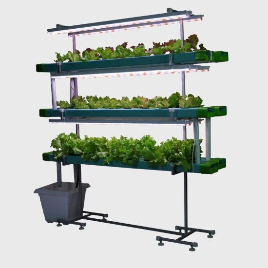 48 Plants Indoor Hydroponic system