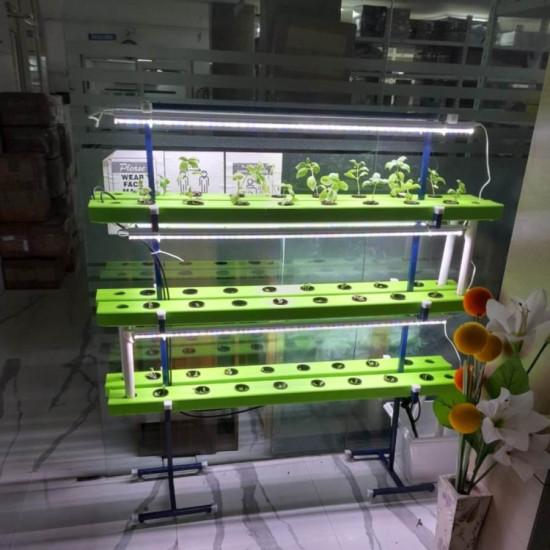 48 Plants Indoor Hydroponic system