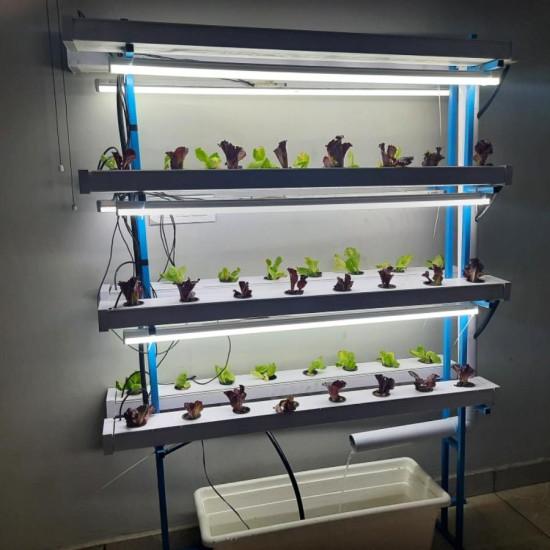48 Plants Indoor Hydroponic system