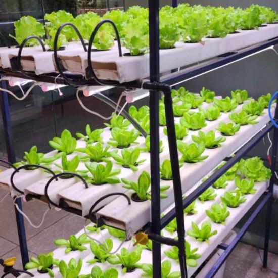 96 Plants Indoor Hydroponic Rack System