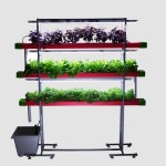 24 Plants Indoor Hydroponic system  