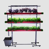 24 Plants Indoor Hydroponic system