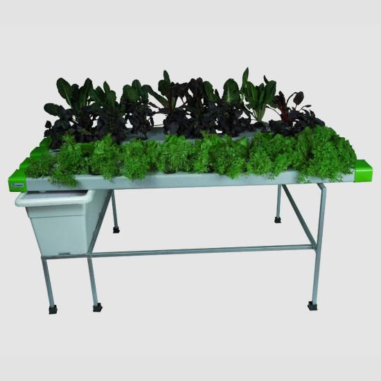 40 Plants NFT Hydroponics System