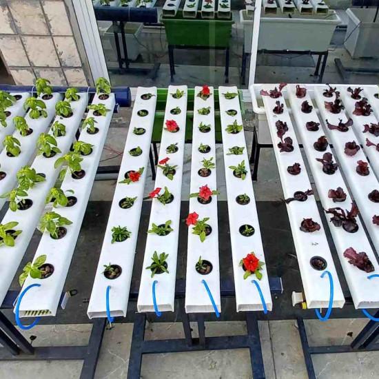 48 Plant NFT Indoor Hydroponic system