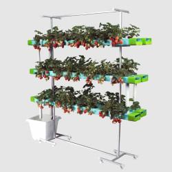 48 Plant Vertical Hydroponic Balcony System