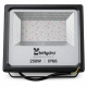 250W LED Flood Light for Hydroponics