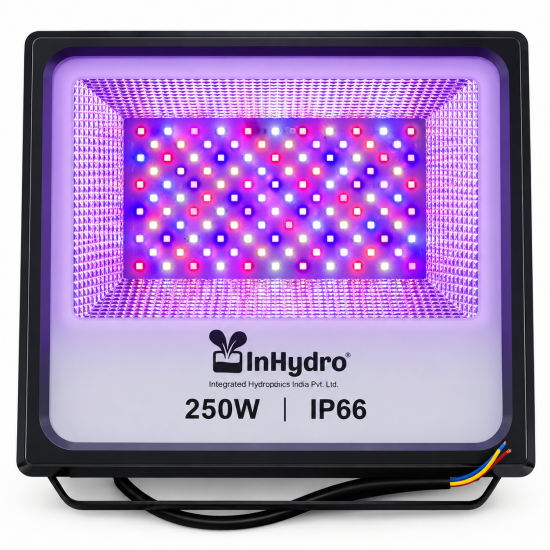250W LED Flood Light for Hydroponics