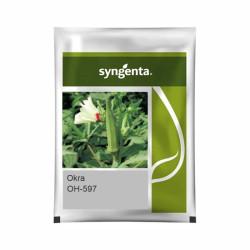 Syngenta - Okra OH - 597 250gm