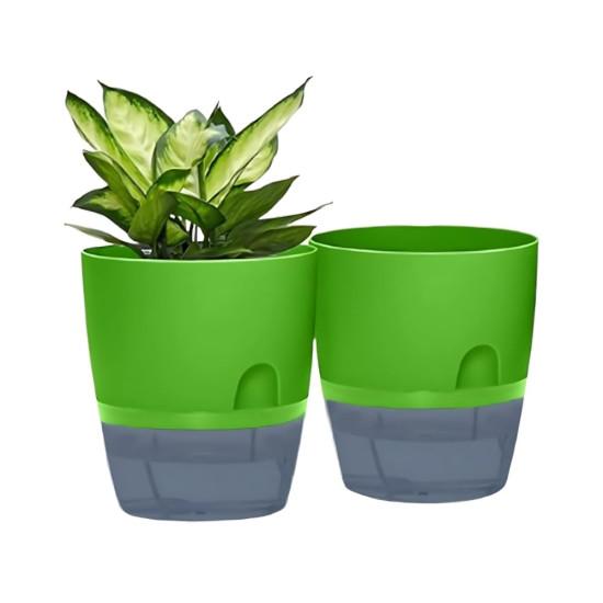 Self Watering Hydroponics System