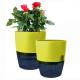 Self Watering Hydroponics System