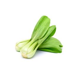 Bok Choy Seeddling  (10 Sampling )