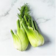 Fennel - SEEDLING ( 10 SAPLING ) - farmsbazaar