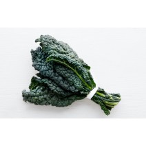 Lacinato Kale Seedling (10 Sampling )