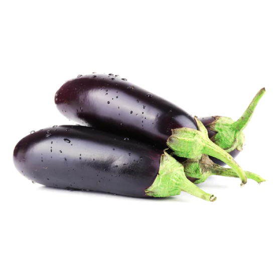 Long Brinjal  - seedling (10 sapling)