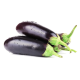 Long Brinjal  - seedling (10 sapling)