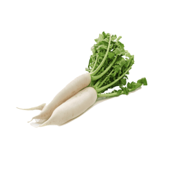Radish - SEEDLING ( 10 SAPLING )