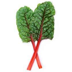 Rhubarb Chard Red Swiss Chard (10 Sapling )