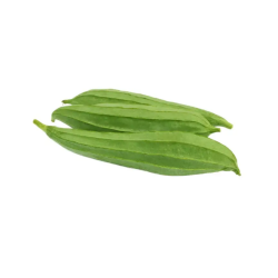 Ridge Gourd  - Seedling (10 sapling)