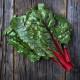 Ruby Red Swiss Chard Seedling (10 Sapling )