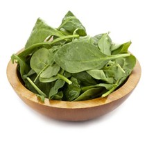 Smooth-Leaf Spinach LETTUCE Leafey Seedling (10 Sapling )