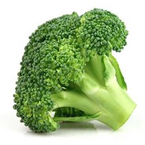 Broccoli - seedling (10 sapling)    