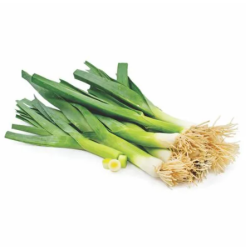 Leek - seedling (10 sapling)