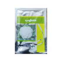 Cauliflower Hybrid Seed CFL 1522 - Syngenta 12gm