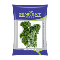 Kale Curly - Gennext 10gm