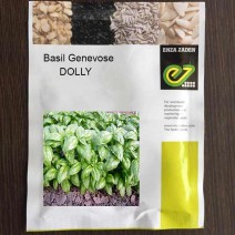 Genevose – basil Dolly  - Enza Zaden (1000-seeds)