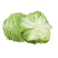 Iceberg - Saula - Enza Zaden (1000-seeds)