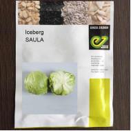 Iceberg - Saula - Enza Zaden (1000-seeds)