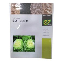 Lettuce Botiola - Enza Zaden (1000-seeds)